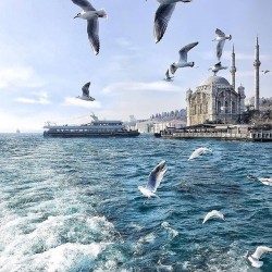 Dolmabahce Palace & Bosphorus on Boat